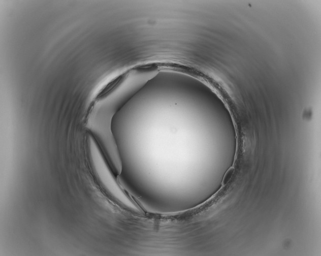 X0000092011069200709131529