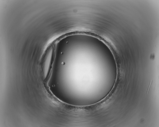 X0000092011070200709131529