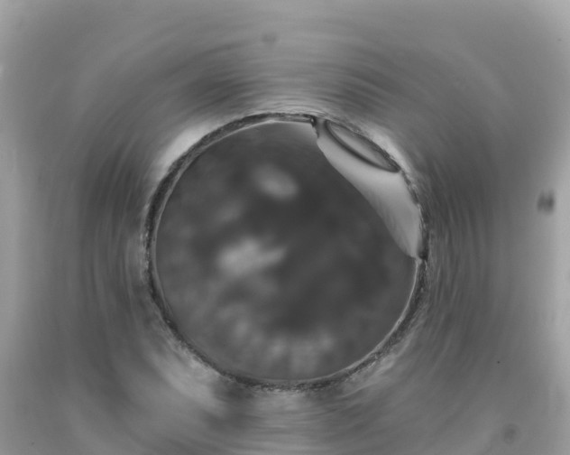 X0000092011071200709131529