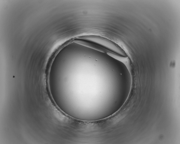 X0000092011072200709131529