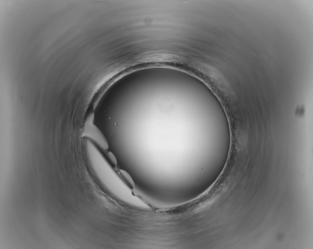 X0000092011073200709131529