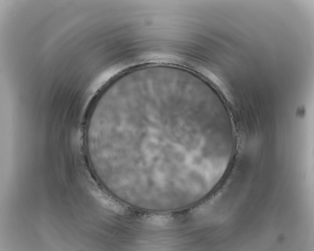 X0000092011074200709131529