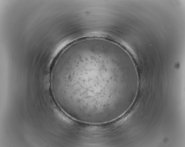 X0000092011075200709131529
