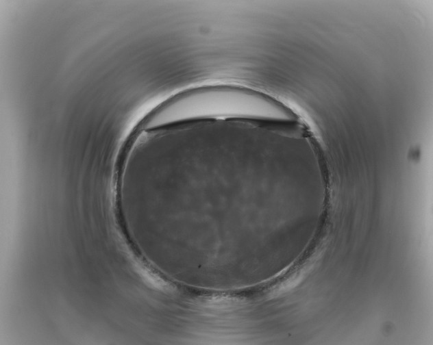 X0000092011077200709131529
