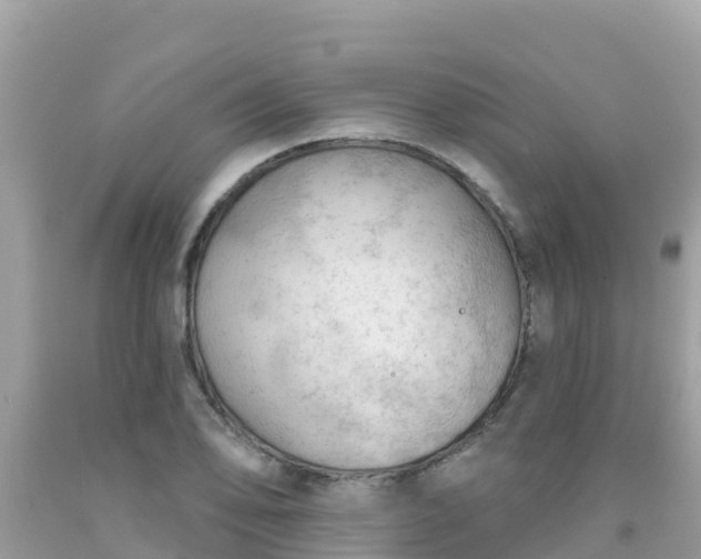 X0000092011078200709131529