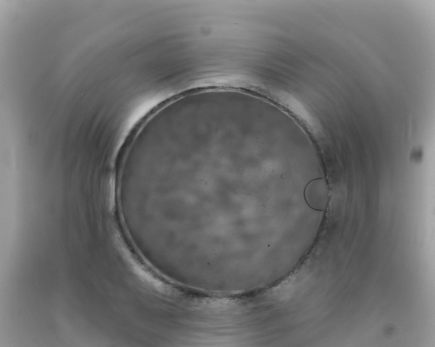X0000092011079200709131529