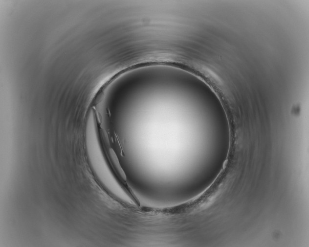 X0000092011081200709131529