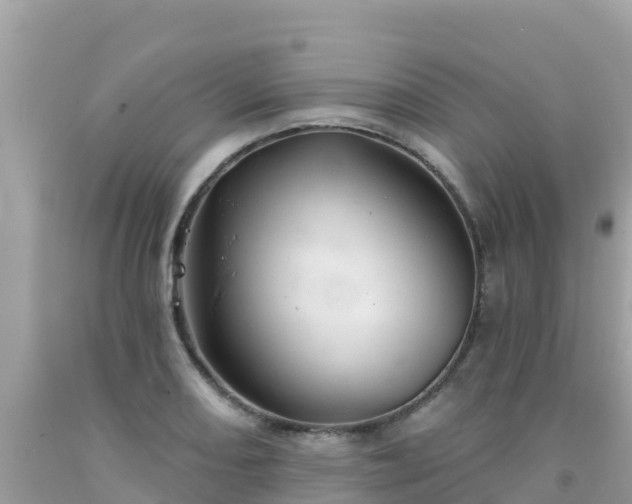 X0000092011082200709131529
