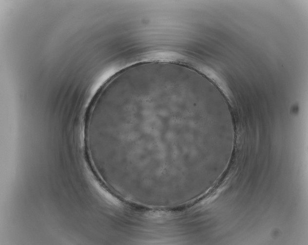 X0000092011083200709131529