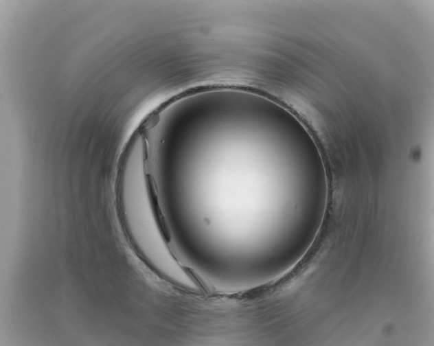 X0000092011085200709131529