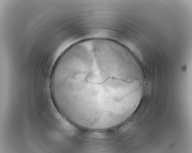 X0000092011086200709131529