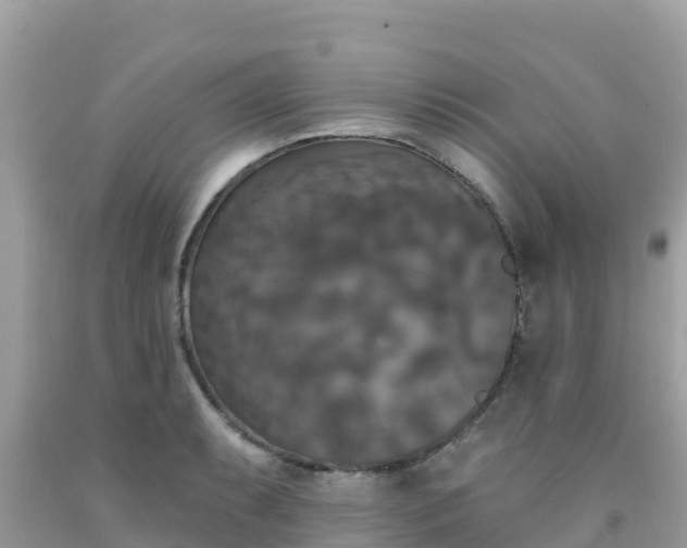 X0000092011087200709131529