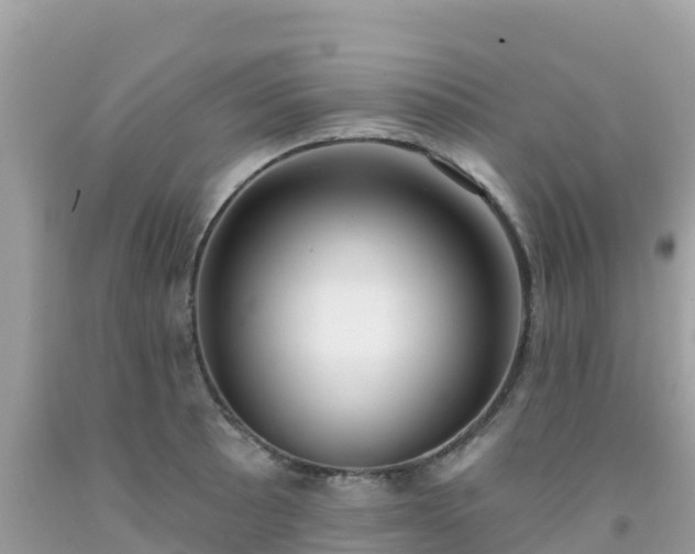 X0000092011089200709131529