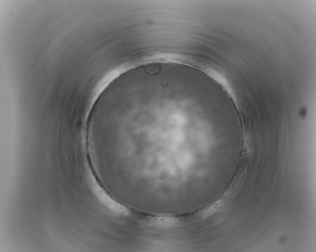 X0000092011090200709131529