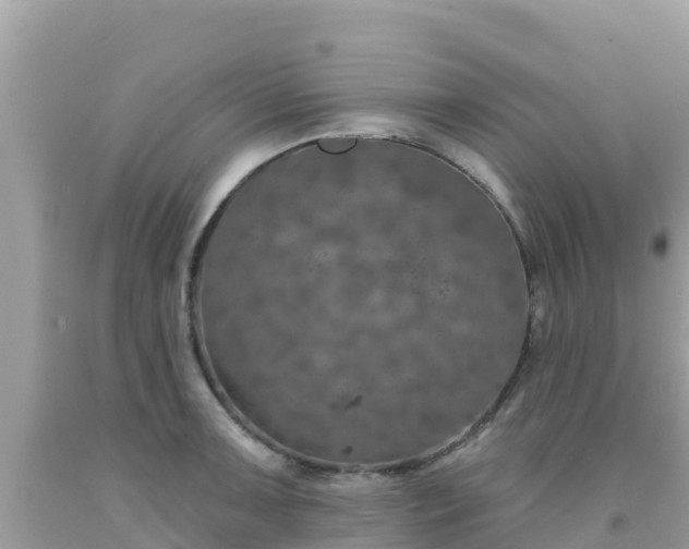 X0000092011091200709131529