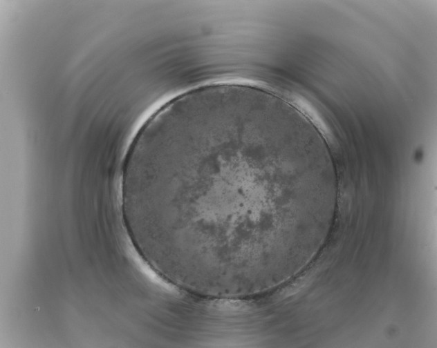 X0000092011092200709131529
