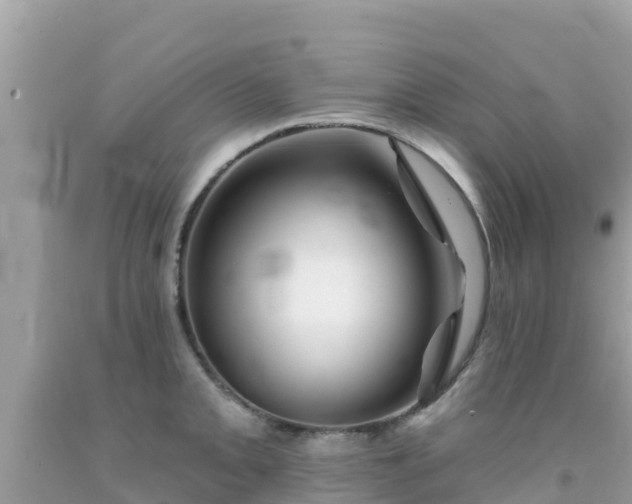 X0000092011093200709131529