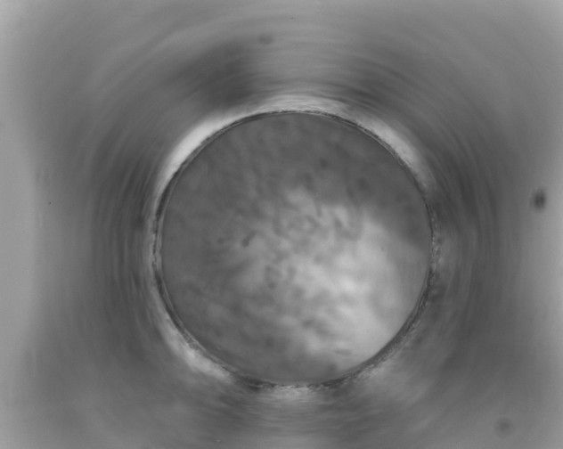 X0000092011094200709131529