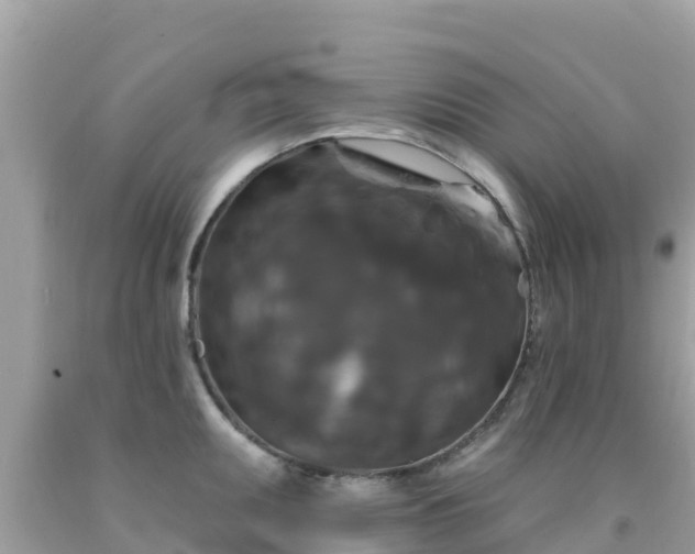 X0000092011095200709131529