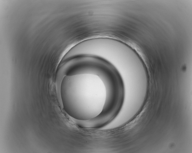 X0000092011097200709131529