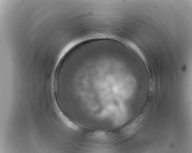 X0000092011098200709131529