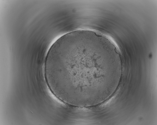 X0000092011100200709131529