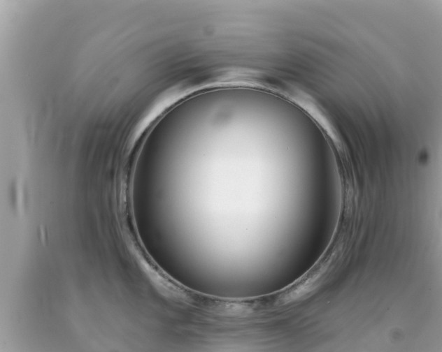 X0000092011101200709131529