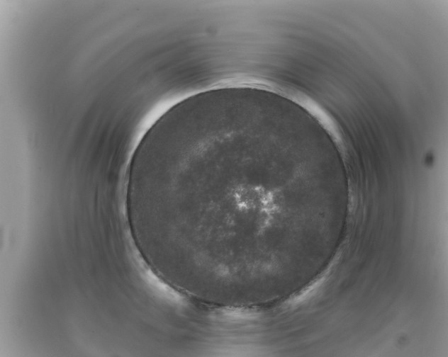 X0000092011102200709131529