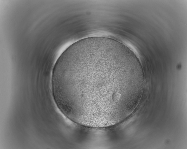 X0000092011103200709131529