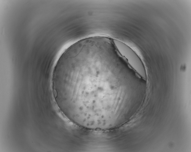 X0000092011104200709131529
