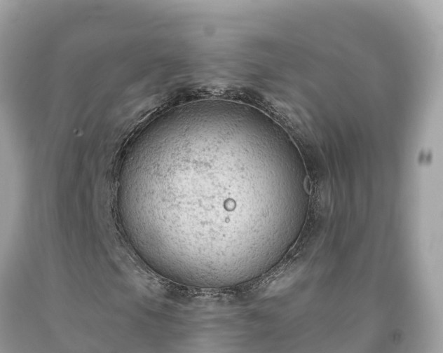 X0000092011105200709131528