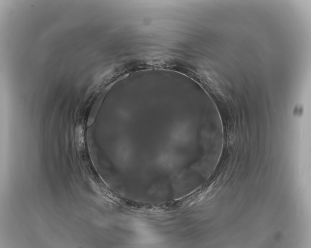 X0000092011106200709131528