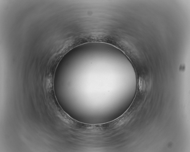 X0000092011107200709131528