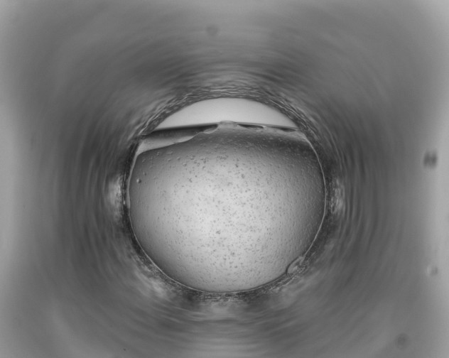 X0000092011108200709131528