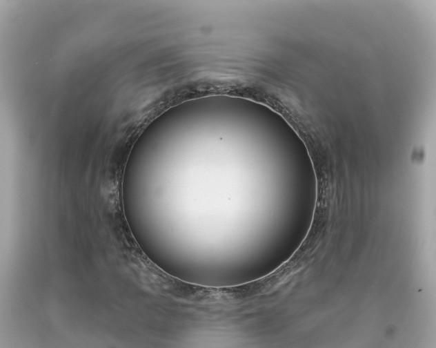 X0000092011109200709131529