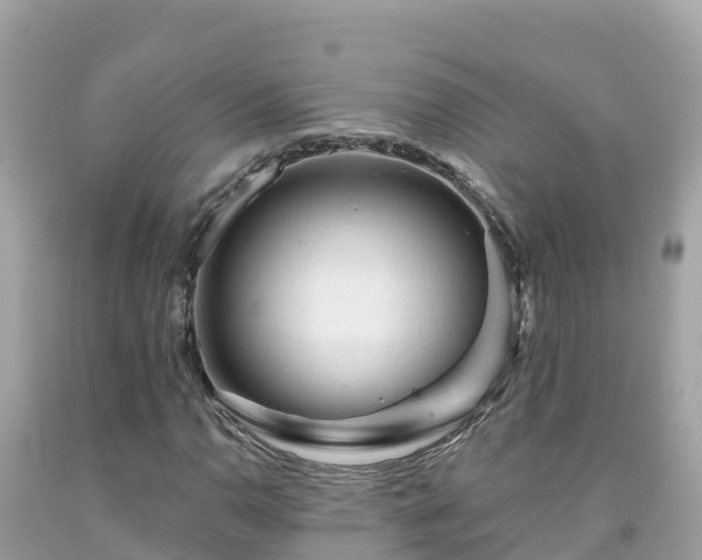 X0000092011110200709131529