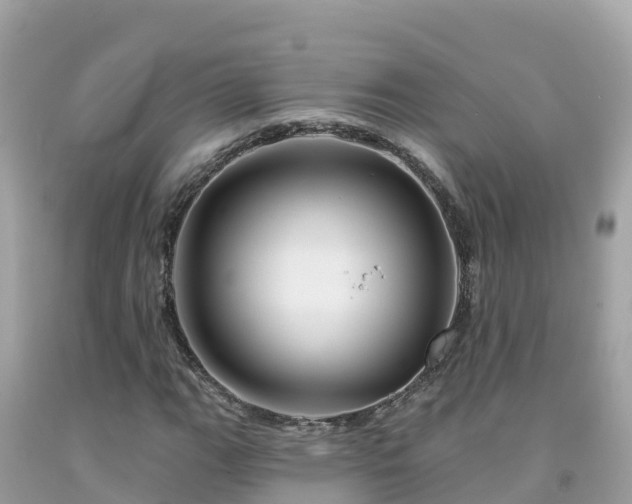 X0000092011111200709131529