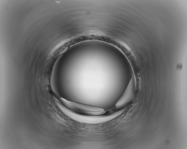 X0000092011112200709131529