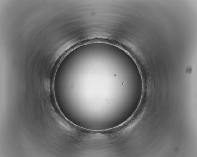 X0000092011113200709131529