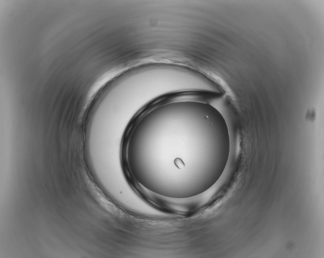 X0000092011114200709131529