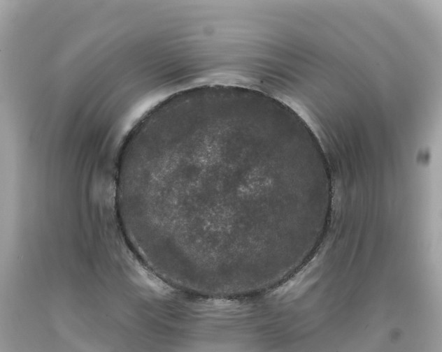 X0000092011115200709131529