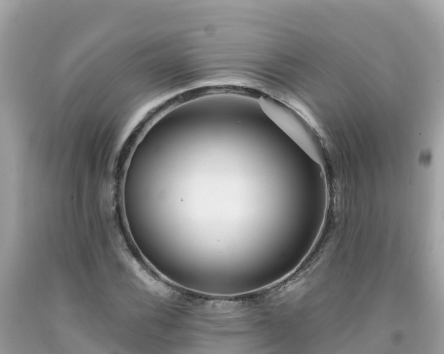 X0000092011116200709131529