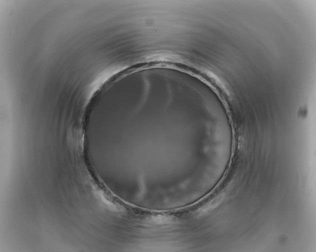 X0000092011117200709131529