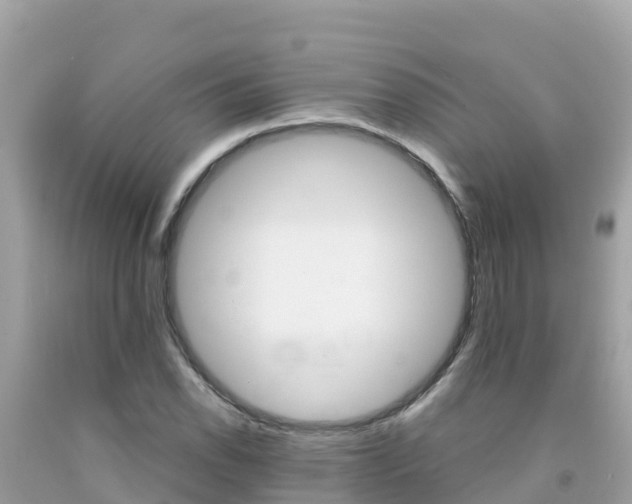 X0000092011118200709131529