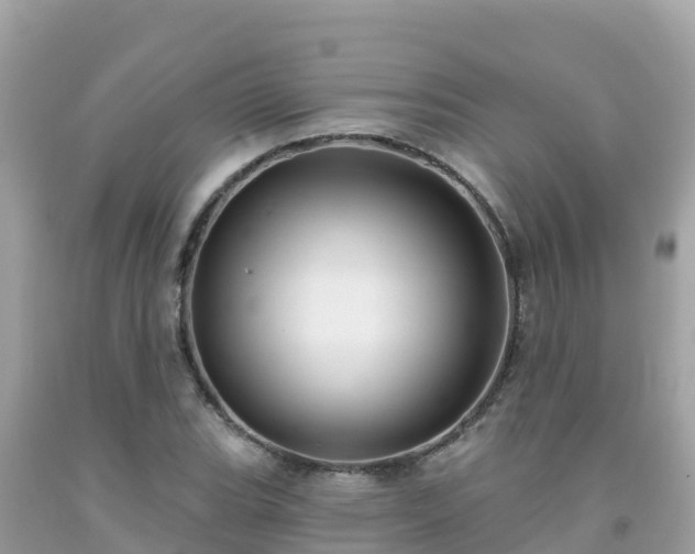 X0000092011119200709131529