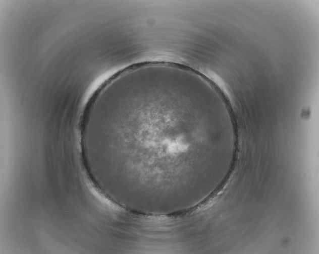 X0000092011120200709131529