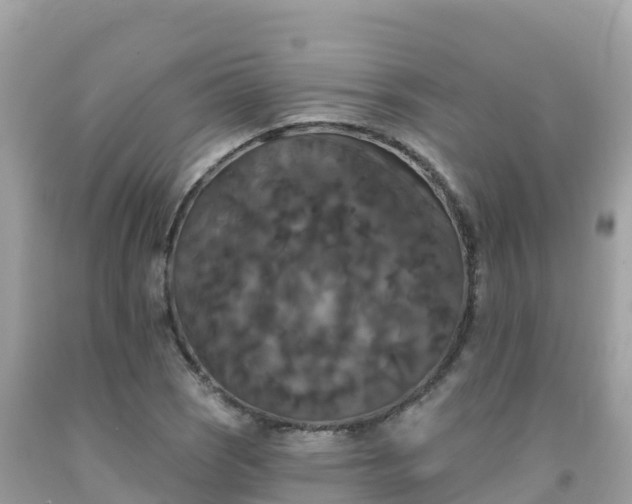 X0000092011121200709131529