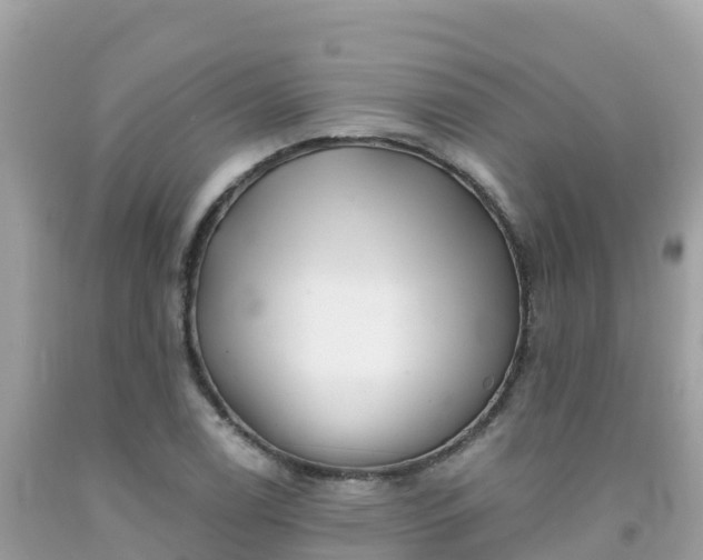 X0000092011122200709131529
