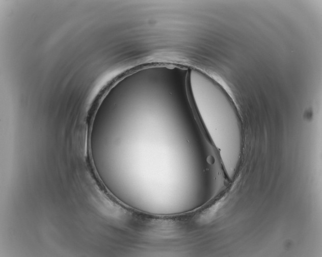 X0000092011123200709131529