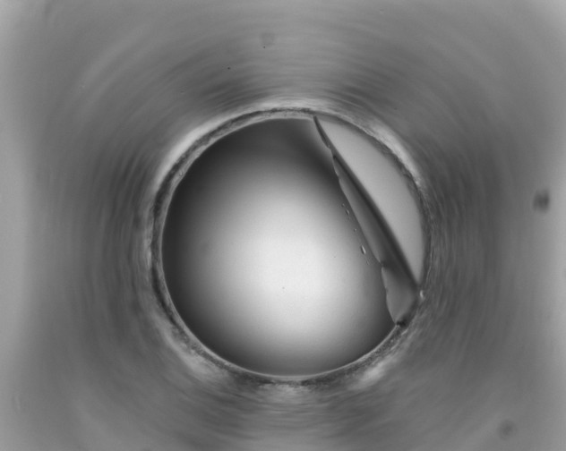 X0000092011124200709131529